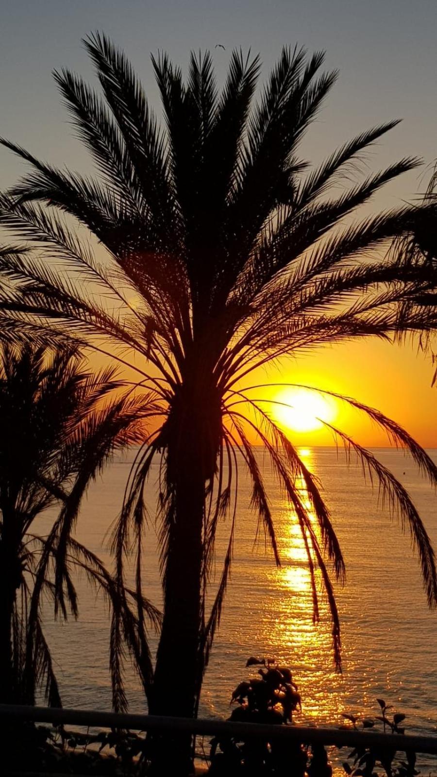 Aloha Beach Vibe Benalmádena Εξωτερικό φωτογραφία